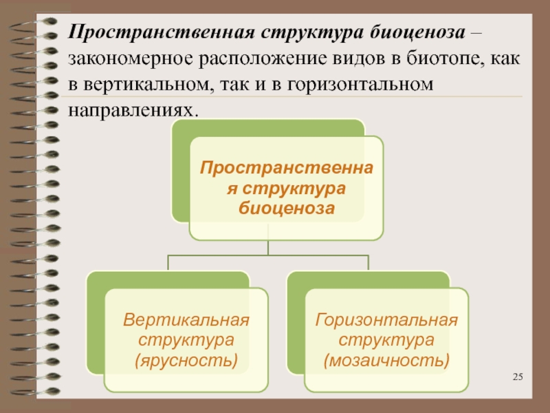 Пространственная структура биоценоза презентация