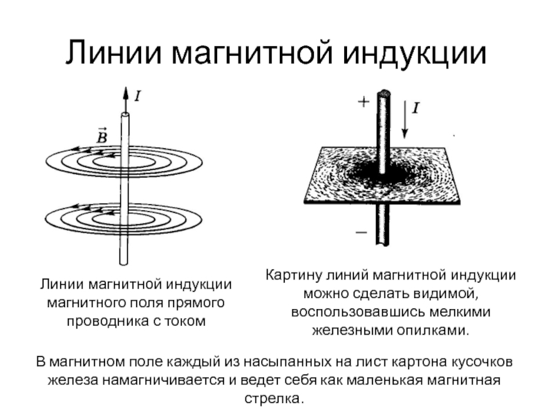 На рисунке представлена картина линий магнитного поля полученная с помощью