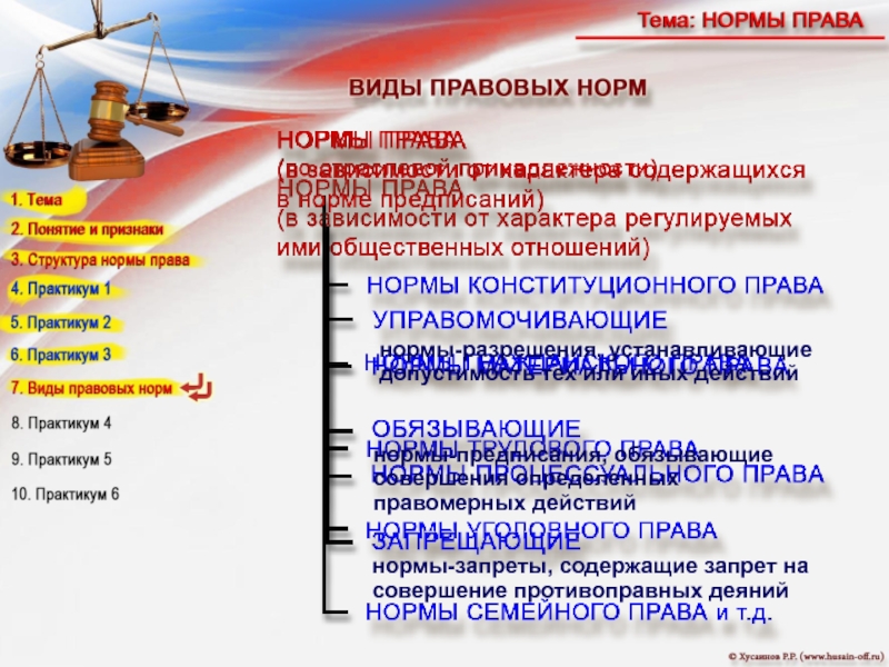 Виды юридических норм. Виды норм права. Норма права виды норм права. Нормы права виды норм. Нормы права презентация.