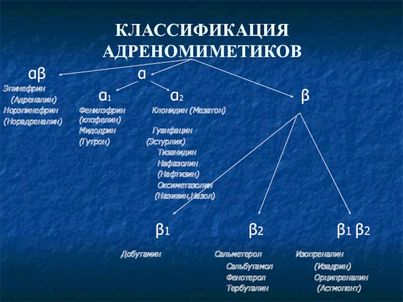 Механизм альфа адреномиметиков. Β2-адреномиметики классификация. Альфа и бета адреномиметики классификация. Классификация Альфа адреномиметиков. Адреномиметики классификация фармакология.