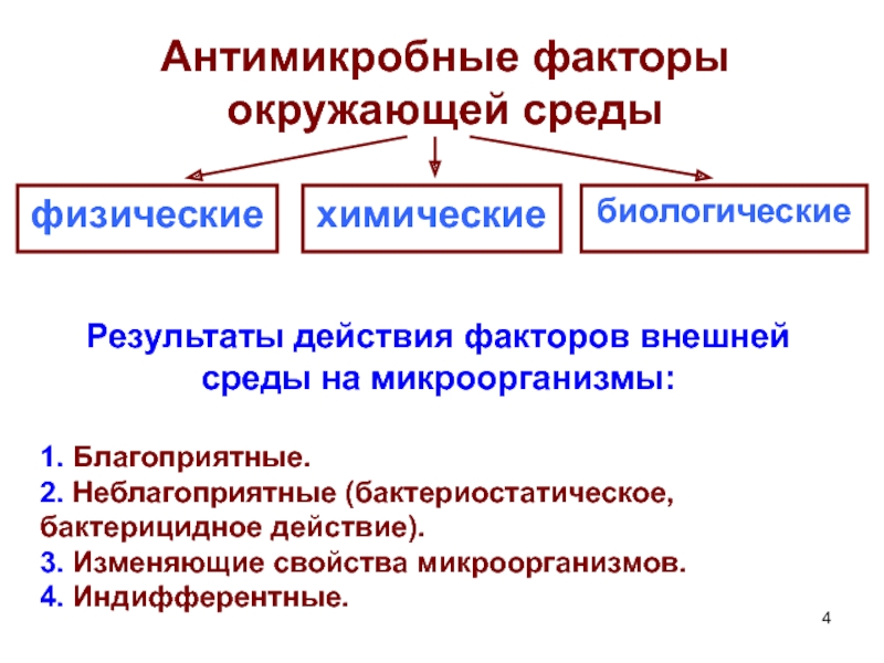 Физические факторы природы