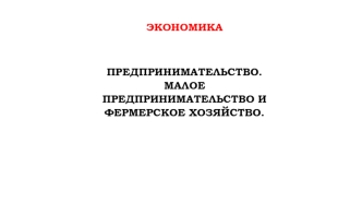 Предпринимательство. Малое предпринимательство и фермерское хозяйство