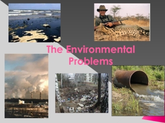 The Environmental Problems