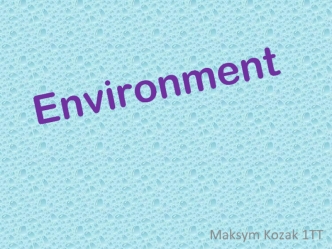 Environment