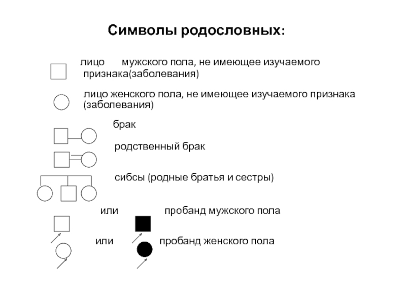 Графическое изображение родословной