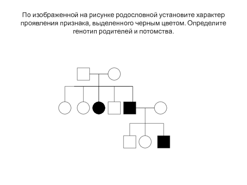 По изображенной на рисунке родословной установите вероятность