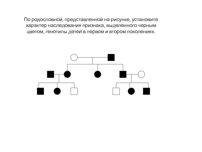 На изображенном рисунке родословной установите характер