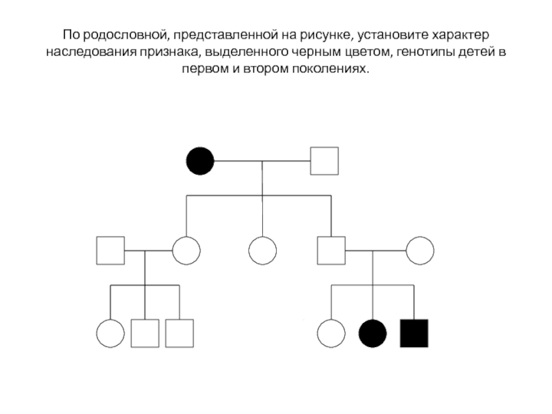 На рисунке представлено генеалогическое дерево ивана где