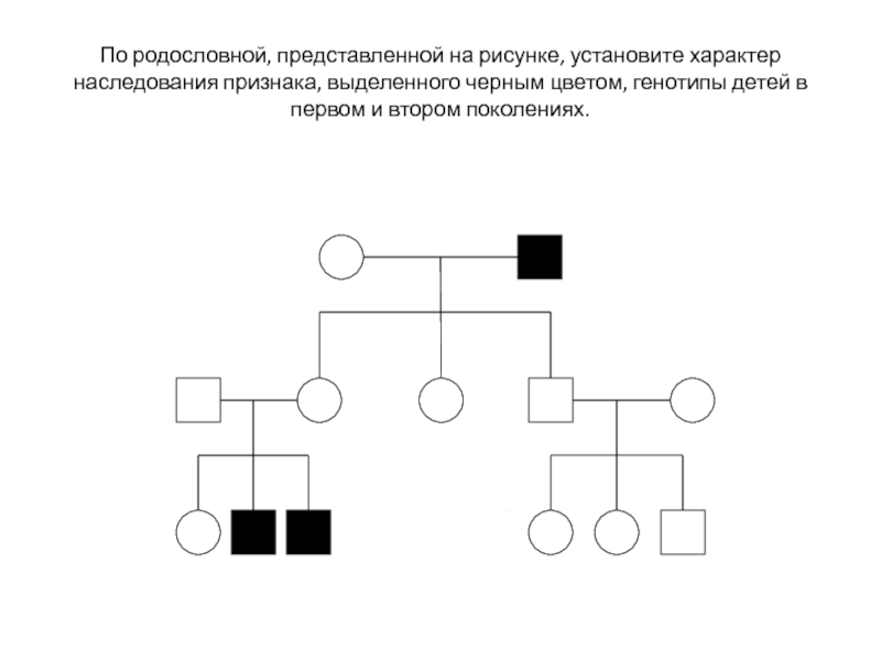 Проект изучение наследования признаков леворукости в семье