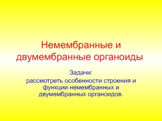 Немембранные и двумембранные органоиды