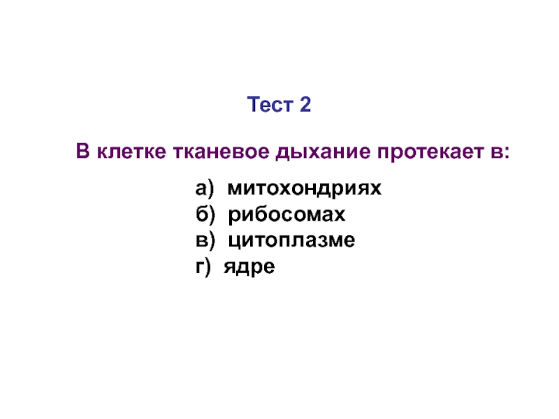 В каких клетках протекает дыхание