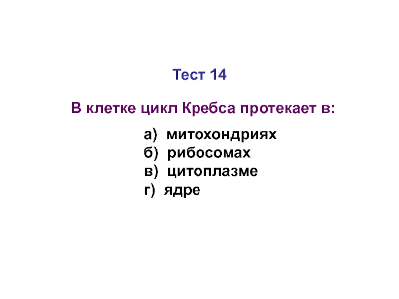 Тест по клетке