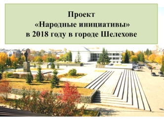 Проект Народные инициативы в 2018 году в городе Шелехове