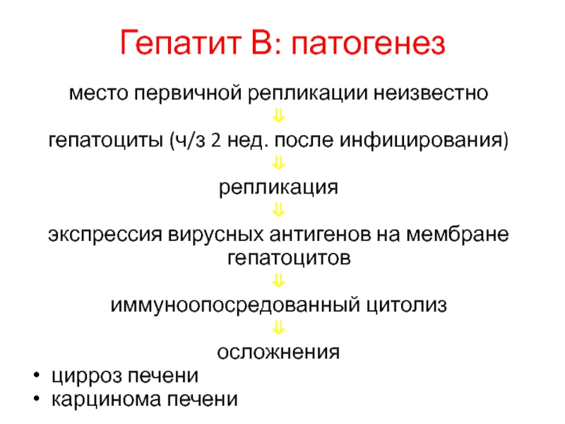 Механизм гепатита