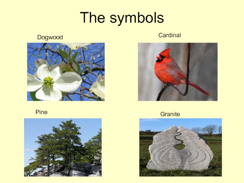 The symbols  Dogwood Cardinal Pine Granite