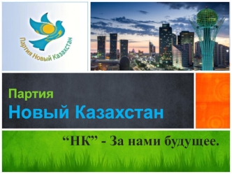 Партия “Новый Казахстан”