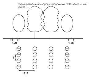 Схема размещения пород в продольной ПЛП (лесостепь и тайга)