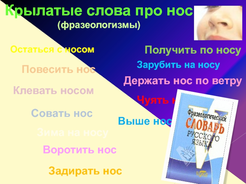 Держать нос по ветру фразеологизм. Держать нос по ветру. Остаться с носом.