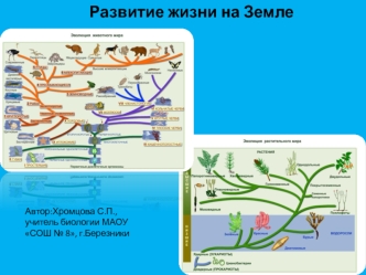 Развите жизни на Земле