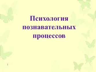 Психология познавательных процессов