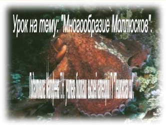 Многообразие моллюсков