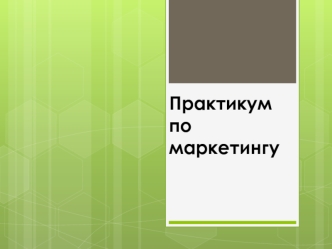 Практикум по маркетингу бизнес-процессов в ГК Biona