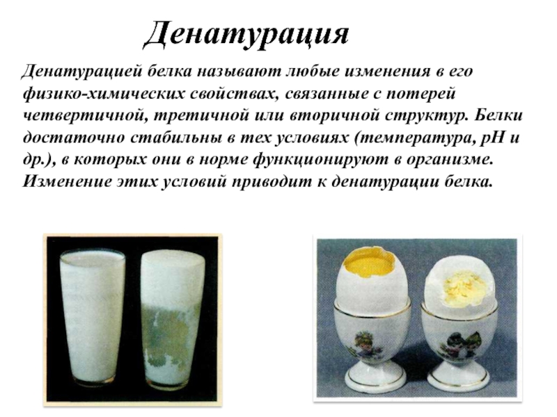 Денатурация белка это. Денатурация примеры. Денатурация белков примеры. Денатурация белка. Обратимая денатурация примеры.