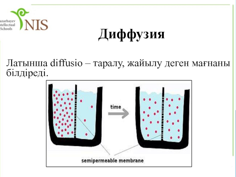 Diffusion sampling method