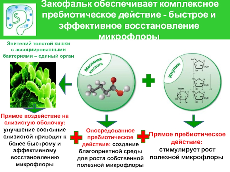 Эффективно восстанавливает