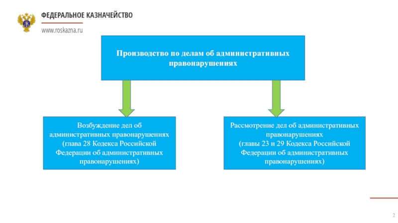 28 кодекс. Производства об административных правонарушениях казначейство.