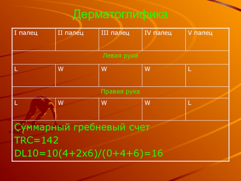 Мой портрет презентация