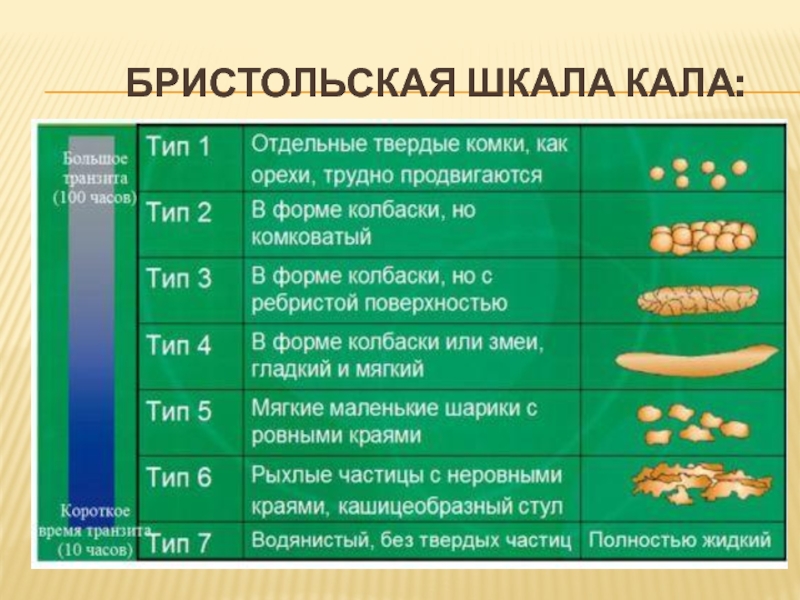 Шкала кала бристольская картинки