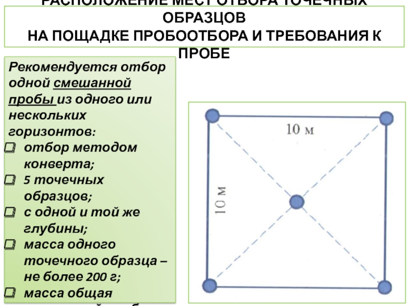 Виды образцов