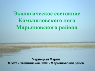 Экологическое состояние Камышловского лога Марьяновского района