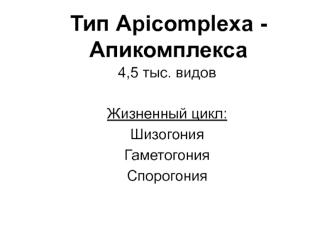 Тип Апикомплекса