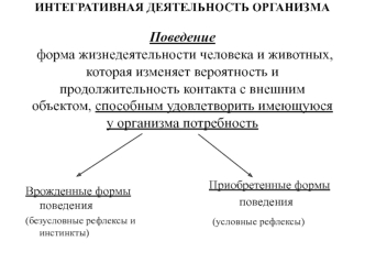 Интегративная деятельность организма. Рефлексы