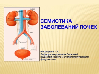 Семиотика заболеваний почек