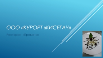 ООО Курорт Кисегач. Ресторан Прованс