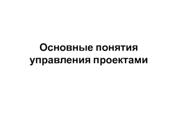 Основные понятия управления проектами