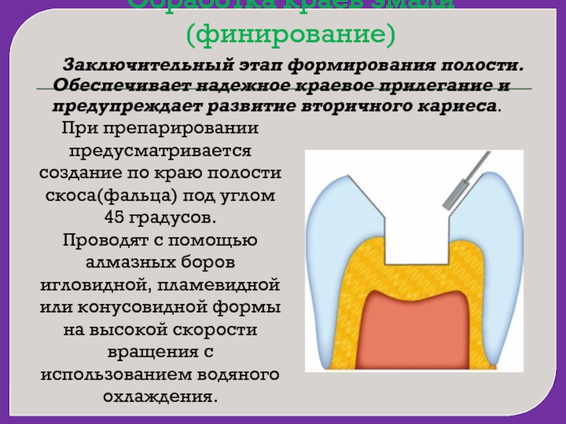 Ооо твс проект тверь