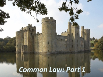 The common law system