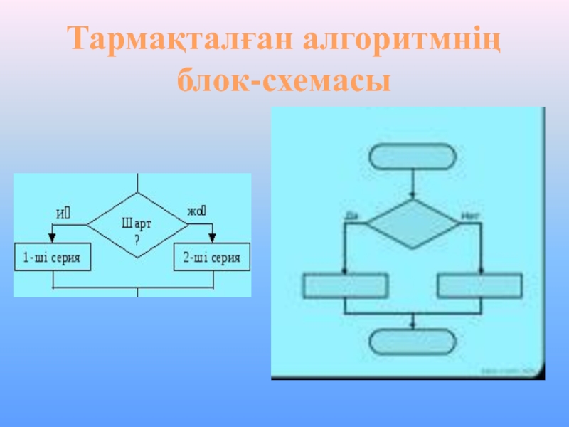 Тармақталған алгоритмдерді программалау презентация