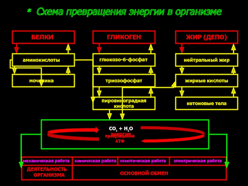 Схема превращения энергии