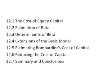 Risk Return and Project Decisions