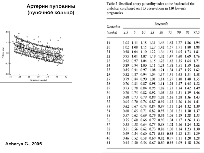 Маточные артерии pi норма. Pi артерии пуповины норма. КСК артерии пуповины норма. RI артерии пуповины норма 27 недель. Ир в артерии пуповины норма.