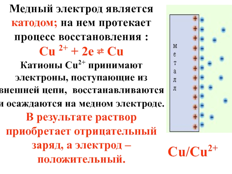 На катоде катионы восстанавливаются