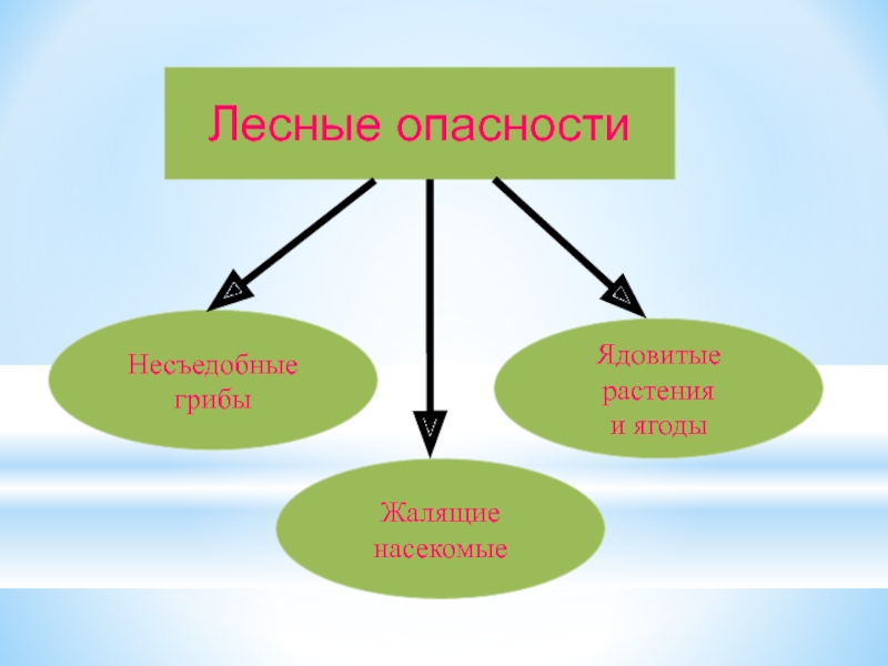 Лесные опасности 2 класс окружающий мир презентация