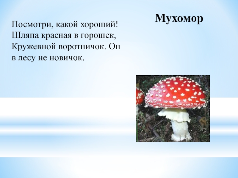 Подробнее о лесных опасностях 2 класс окружающий. Лесные опасности 2 класс окружающий мир. Опасности в лесу 2 класс окружающий мир. Проект Лесные опасности 2 класс. Опасности в лесу презентация.