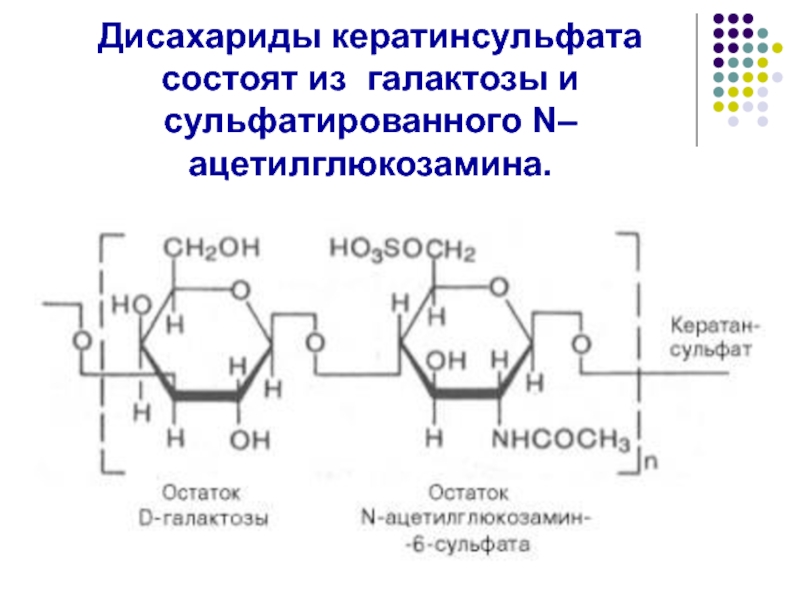Ферменты дисахариды