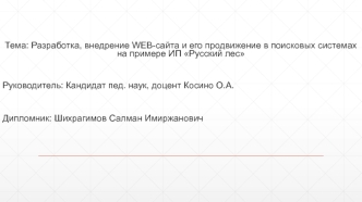 Разработка, внедрение web-сайта и его продвижение в поисковых системах на примере ИП Русский лес